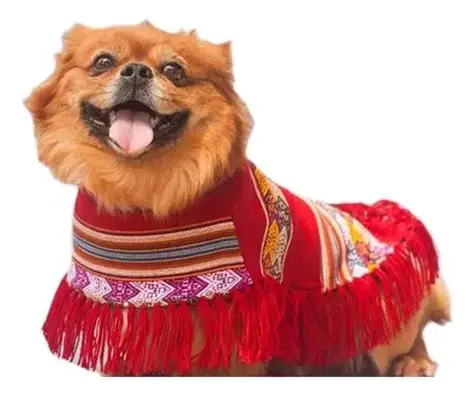 Poncho